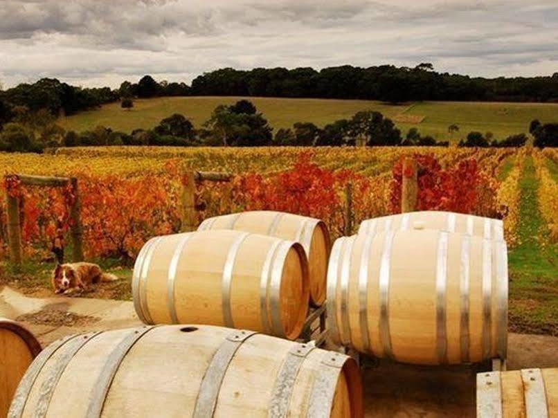 Morning Sun Vineyard 호텔 Mornington Peninsula 외부 사진